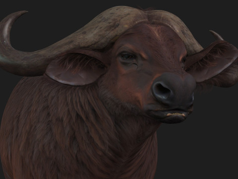 BuffaloA1 3D 모델
