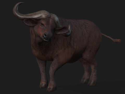 BuffaloA1 3D 모델
