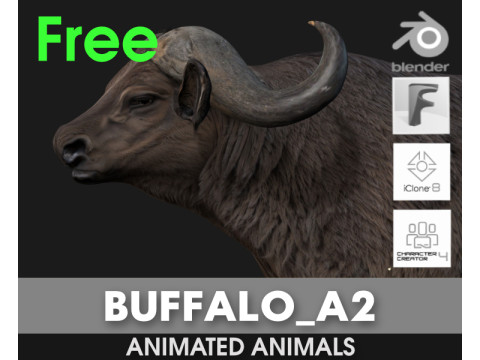 BuffaloA2 Model 3D