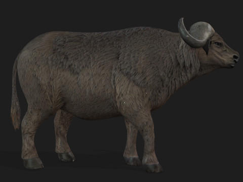 BuffaloA2 3D Модель