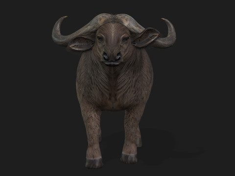 BuffaloA2 3D Модель