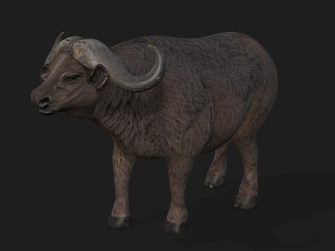BuffaloA2 3D Модель