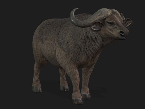 BuffaloA2 3D Модель