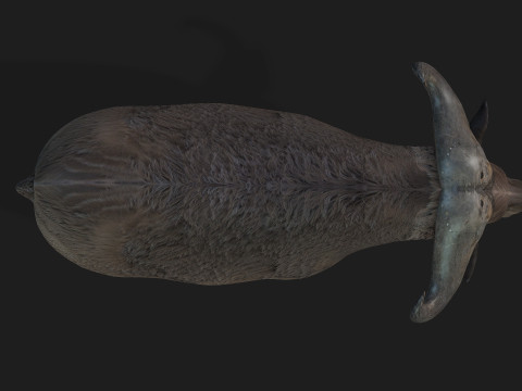BuffaloA2 3D Модель
