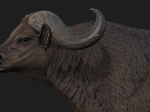 BuffaloA2 3D Модель
