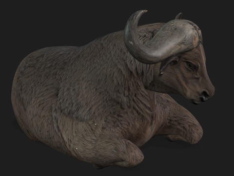 BuffaloA2 3D Модель