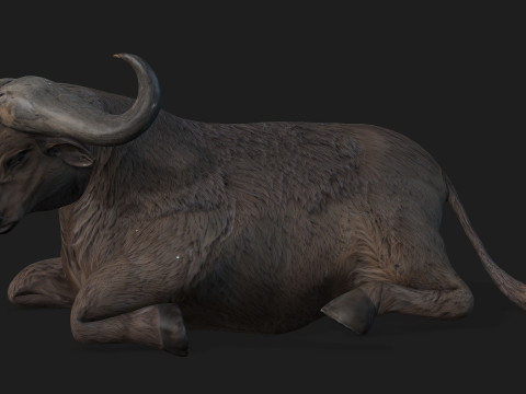 BuffaloA2 3D Модель