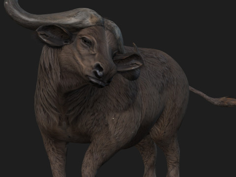 BuffaloA2 3D Модель