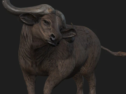 B&uacute;falo-A2 Modelo 3D