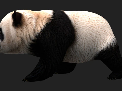 Panda-A1 Modelo 3D