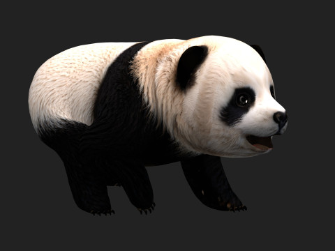 PandaA1 Modèle 3D