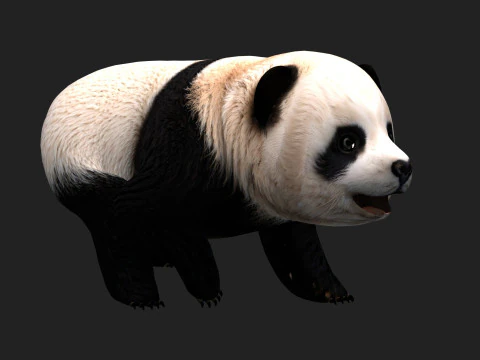 Panda-A1 Modelo 3D