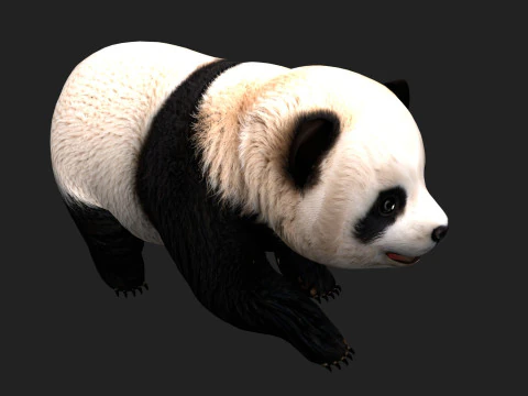 Panda-A1 Modelo 3D