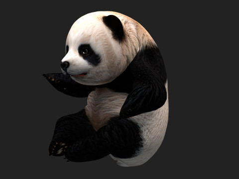 PandaA1 Modèle 3D