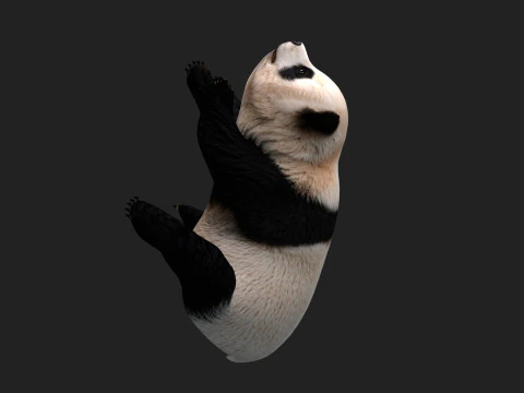 Panda-A1 Modelo 3D