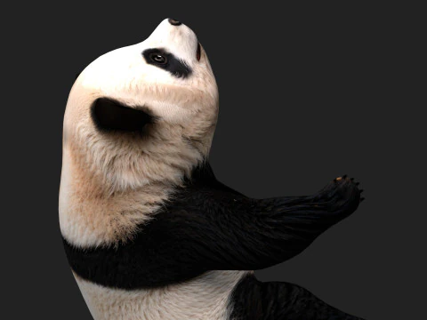 Panda-A1 Modelo 3D