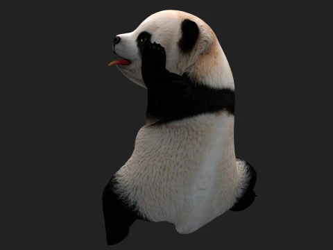 Panda-A1 Modelo 3D