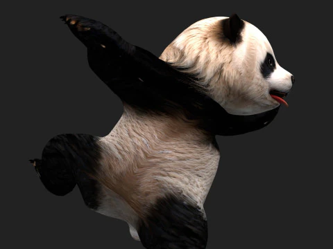 Panda-A1 Modelo 3D