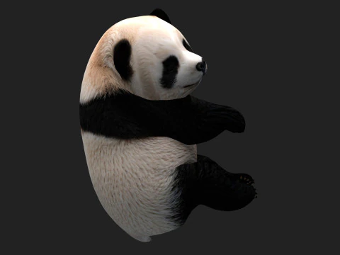 Panda-A1 Modelo 3D