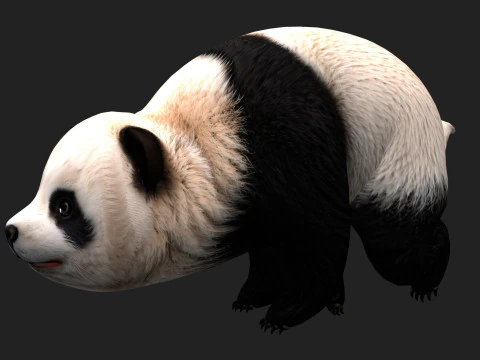 Panda-A1 Modelo 3D