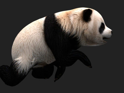Panda-A1 Modelo 3D
