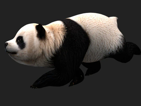 Panda-A1 Modelo 3D