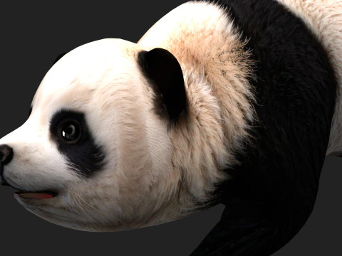 Panda-A1 Modelo 3D