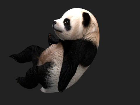 Panda-A1 Modelo 3D