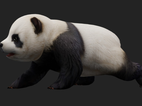 PandaA2 Modelo 3D