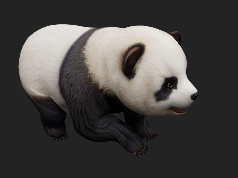 PandaA2 Modelo 3D