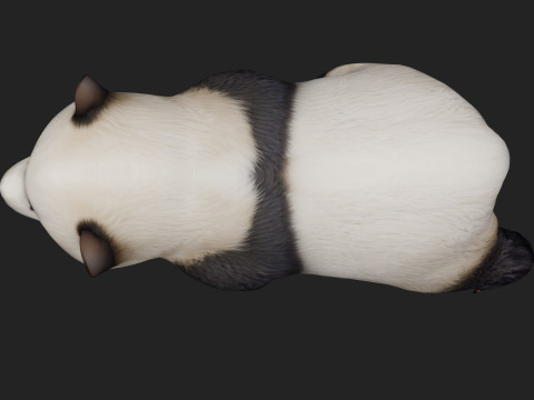 PandaA2 Modelo 3D