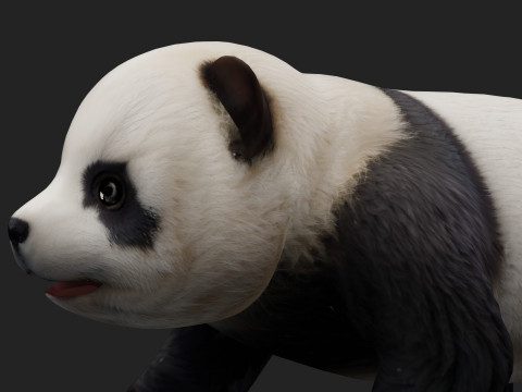 PandaA2 Modelo 3D