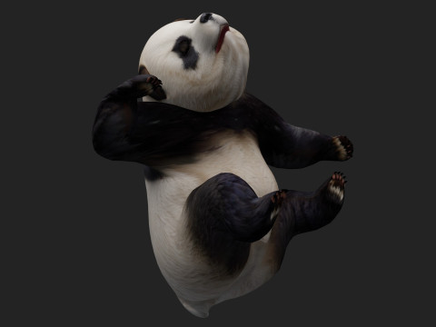 PandaA2 Modelo 3D