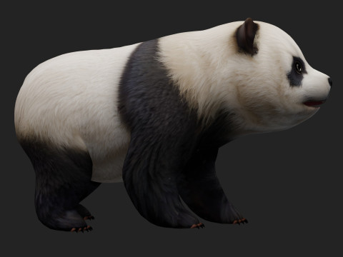 PandaA2 Modelo 3D