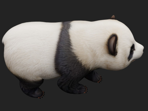 PandaA2 Modelo 3D