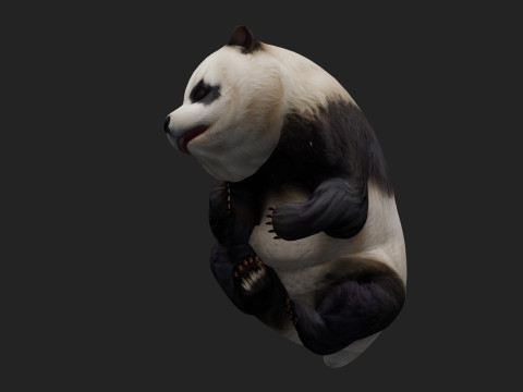 PandaA2 Modelo 3D
