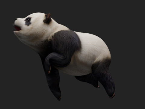 PandaA2 Modelo 3D