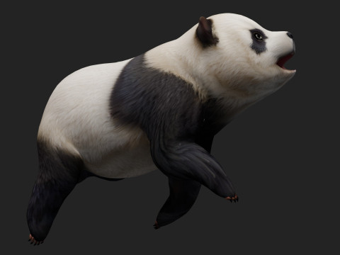 PandaA2 Modelo 3D