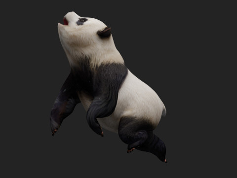 PandaA2 Modelo 3D