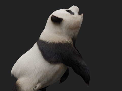 PandaA2 Modelo 3D