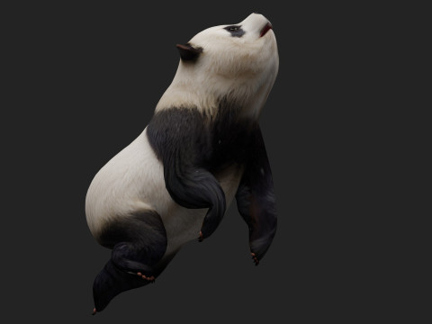 PandaA2 Modelo 3D