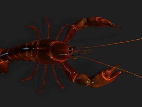 Lagosta-A1 Modelo 3D