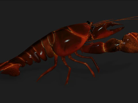 Lagosta-A1 Modelo 3D