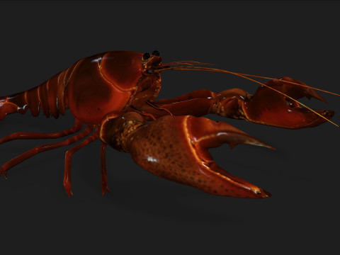 LobsterA1 Modelo 3D