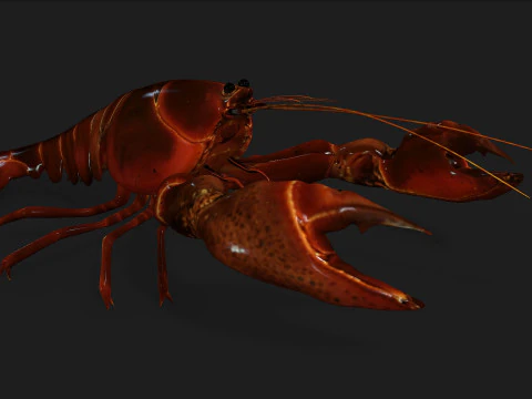 Lagosta-A1 Modelo 3D