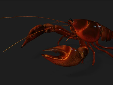 Lagosta-A1 Modelo 3D