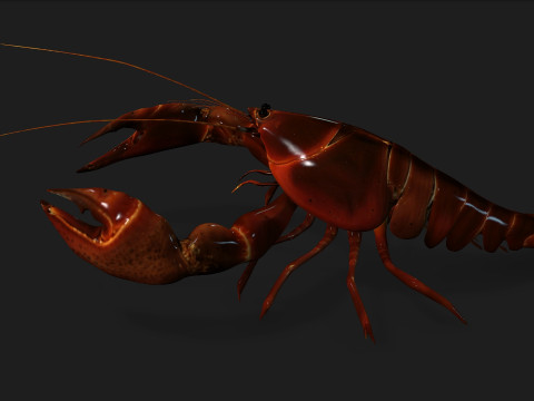 LobsterA1 Modelo 3D