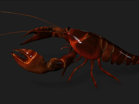 Lagosta-A1 Modelo 3D