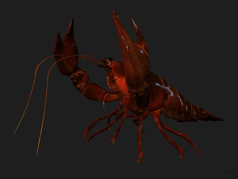 LobsterA1 Modelo 3D