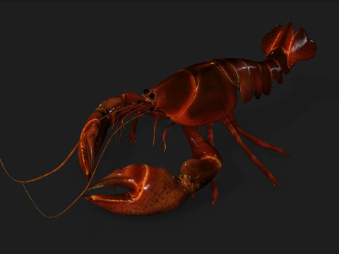 LobsterA1 Modelo 3D
